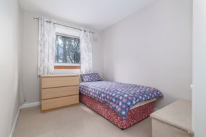 Photo 46- click for photo gallery